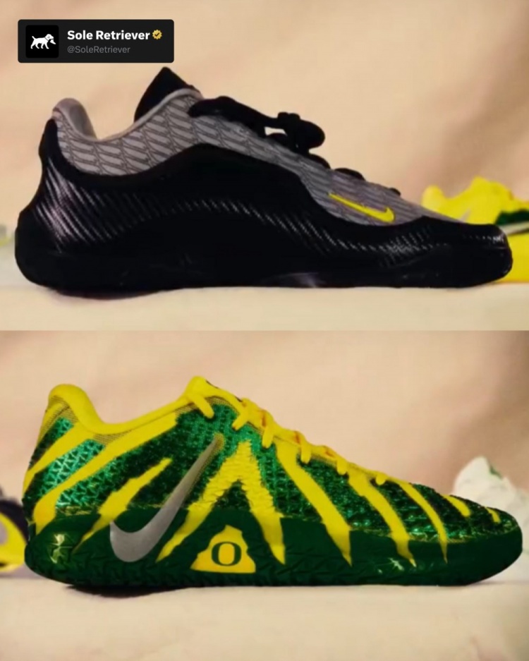 开云全站-林葳所在学校！俄勒冈大学本赛季的各种詹姆斯/科比等球星PE球鞋