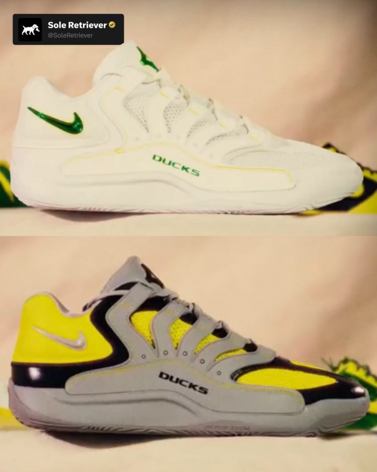 开云全站-林葳所在学校！俄勒冈大学本赛季的各种詹姆斯/科比等球星PE球鞋