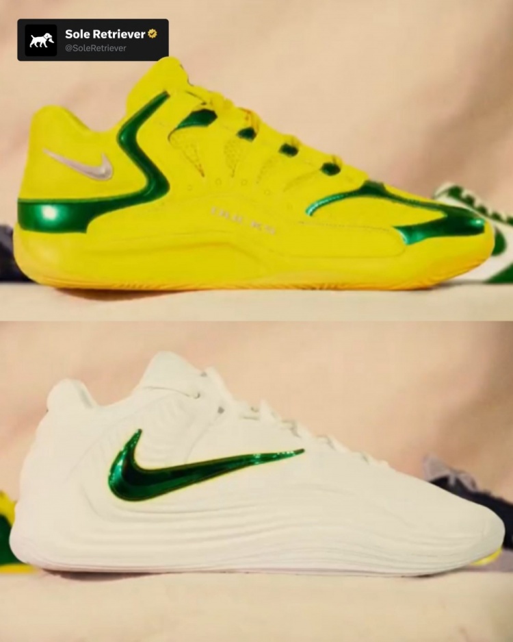 开云全站-林葳所在学校！俄勒冈大学本赛季的各种詹姆斯/科比等球星PE球鞋